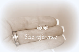 Brushed Silver Studs