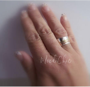 Mixed metal Spinner Ring