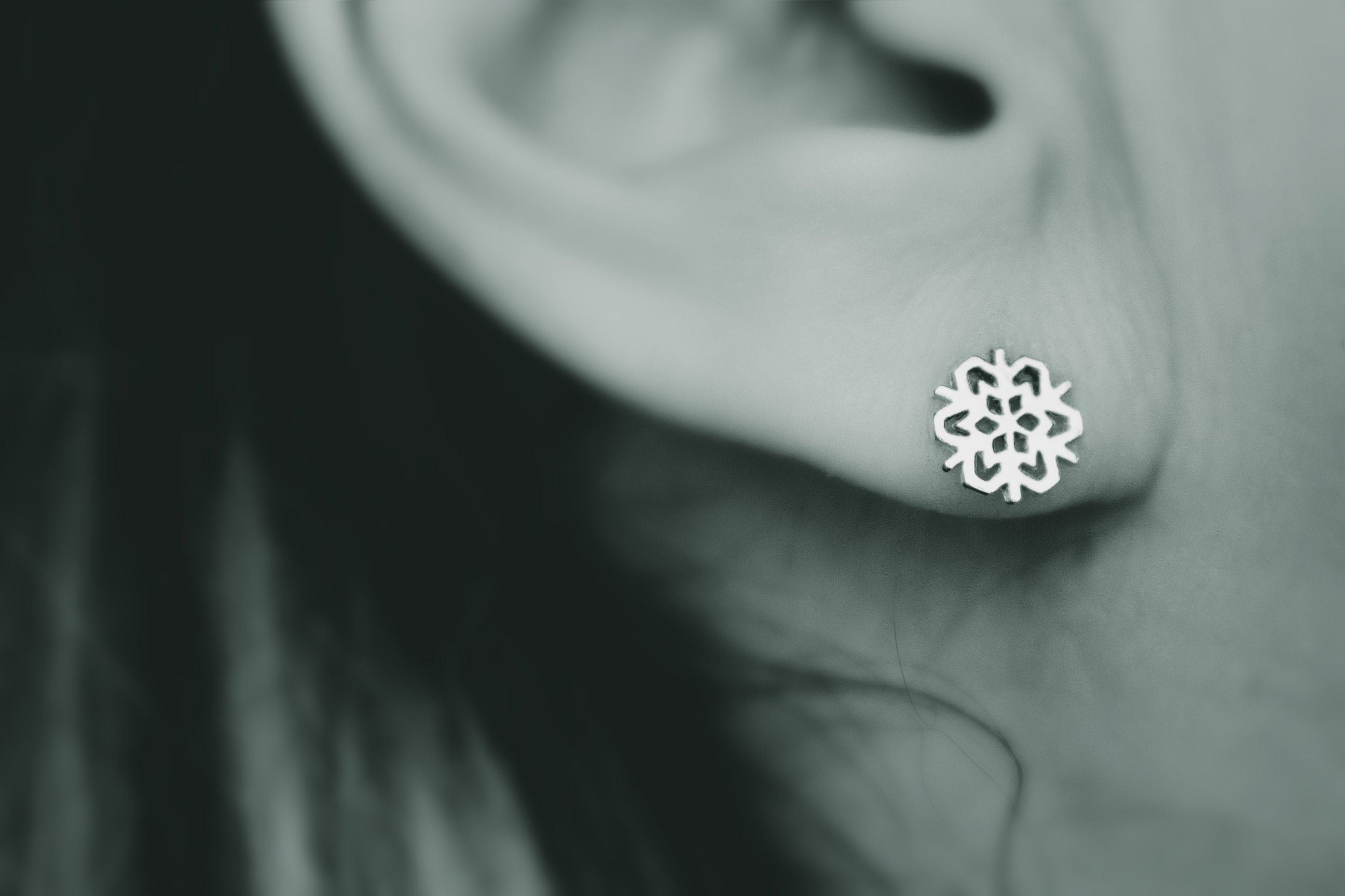 Snowflake earrings